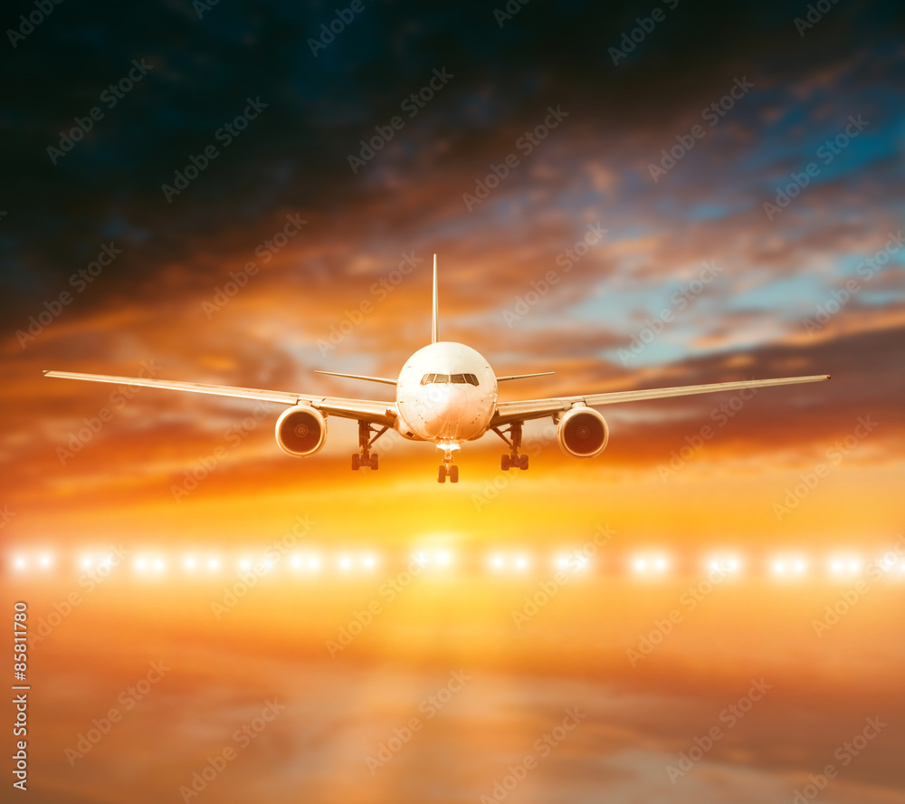 Fototapeta premium plane lands on the runway
