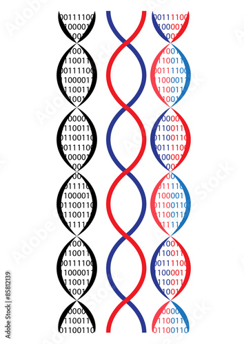 vector illustration of dna chain, binary idea.