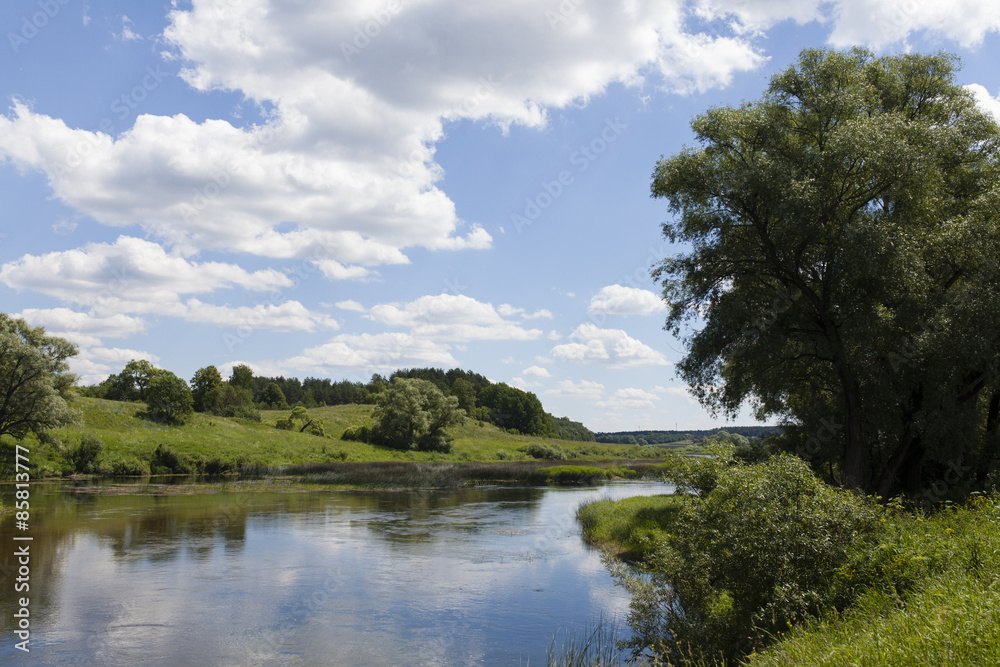 View from the shore of the river against the background of pine forest and cloudy sky