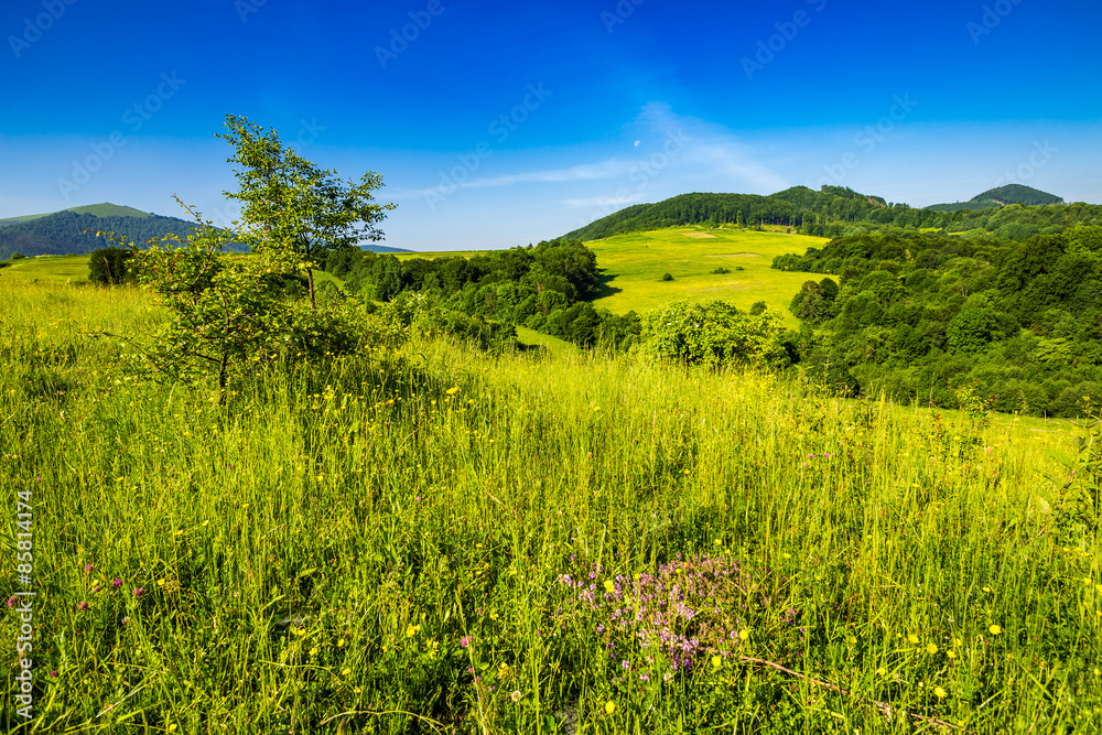 agricultural field in mountains