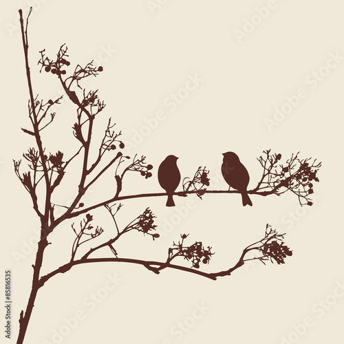 sparrows on a twig