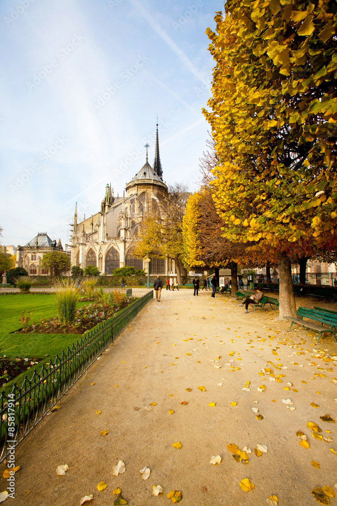 Obraz premium Notre Dame