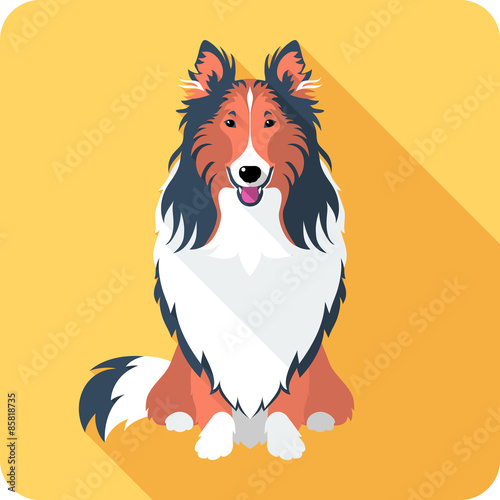dog Rough collie icon flat design 