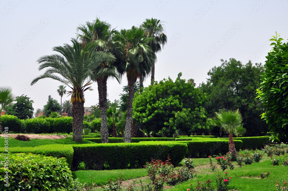 Obraz premium Koutoubia Gardens