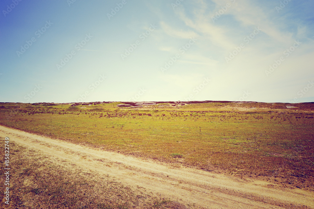 Obraz premium Rural road on the field background