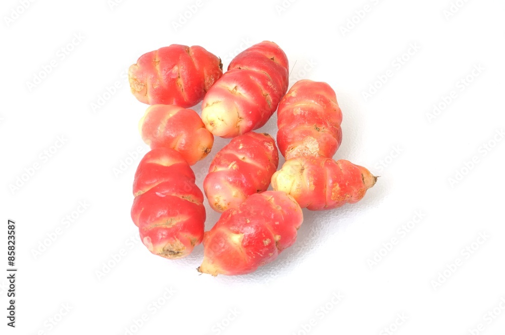 Oca of Peru Oca of Peru