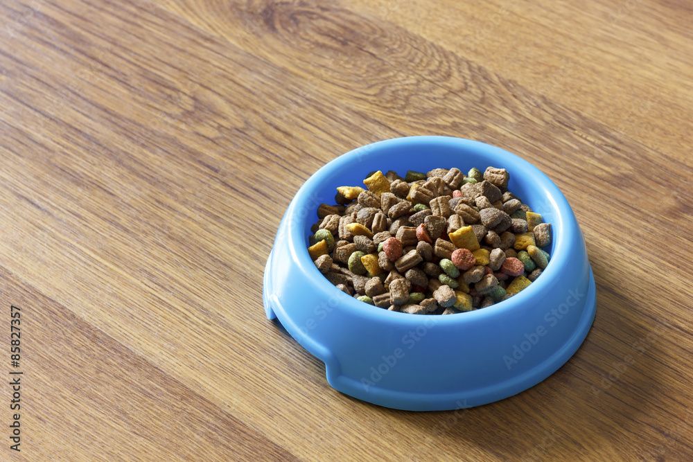 Dry cat food in blue bowl isolated on wood laminate floor. Dry cat food in blue bowl isolated on wood laminate floor.