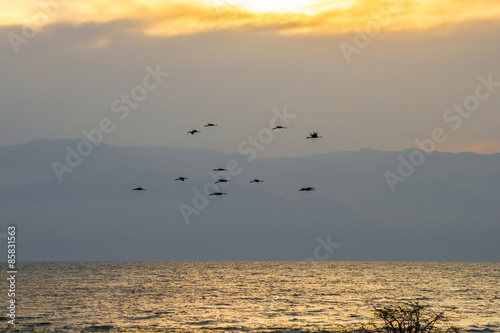 burundi shore - lake tanganyika - congo