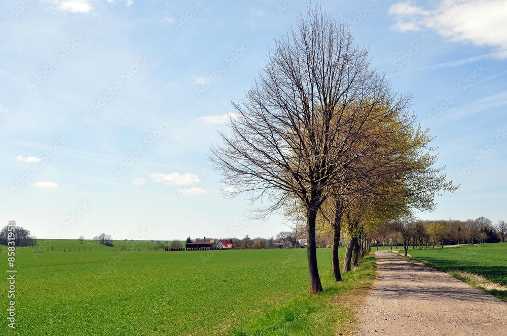 Obraz premium Vor Lampertswalde