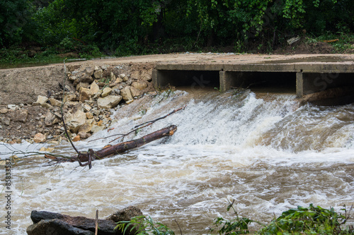 фотографія Tree going downstream in flood waters.