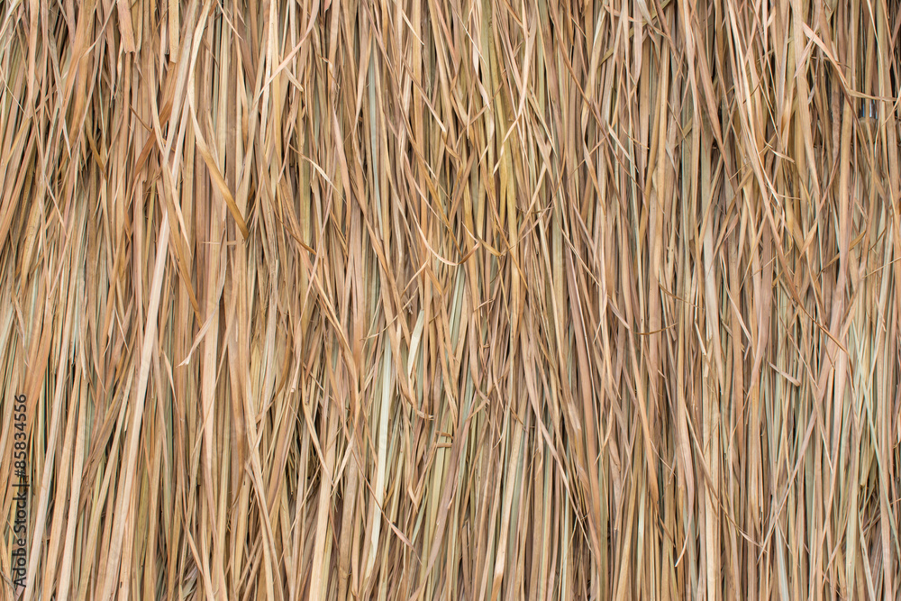 Fototapeta premium Thatched roof made from the leaves of grass
