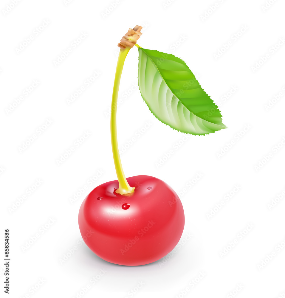 Cherry berry with leaf isolated on white background. Vector illustration Cherry berry with leaf isolated on white background. Vector illustration