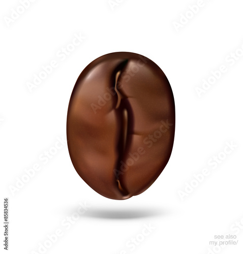 Coffee bean isolated on white background. Vector illustration