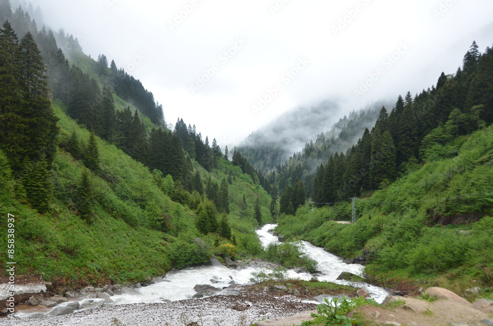 Ayder Plateau Ayder Plateau
