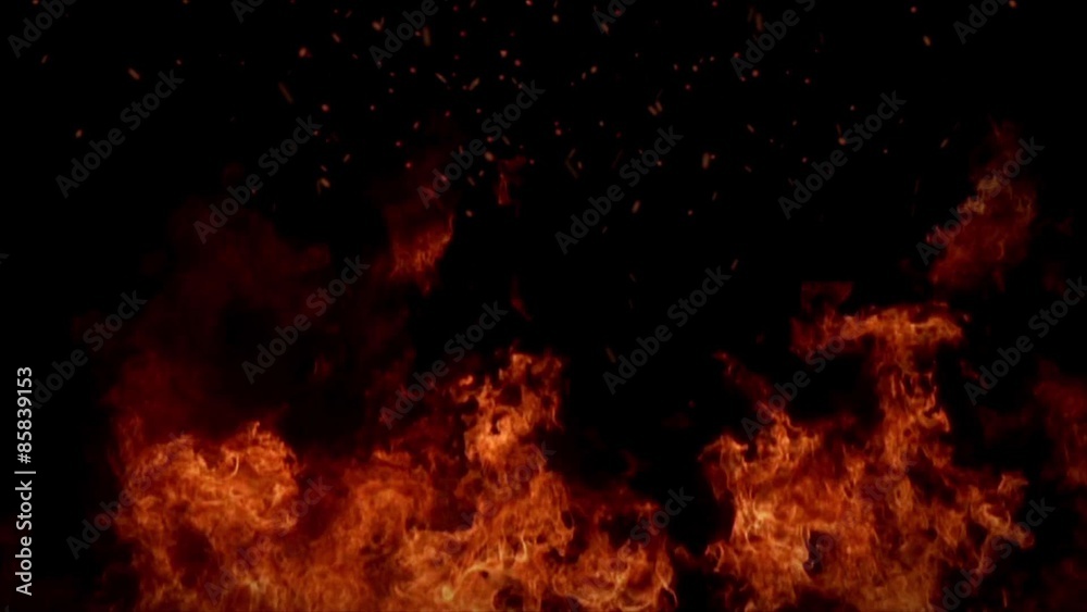 digital perfectly flames loop on black background moving digital perfectly flames loop on black background moving