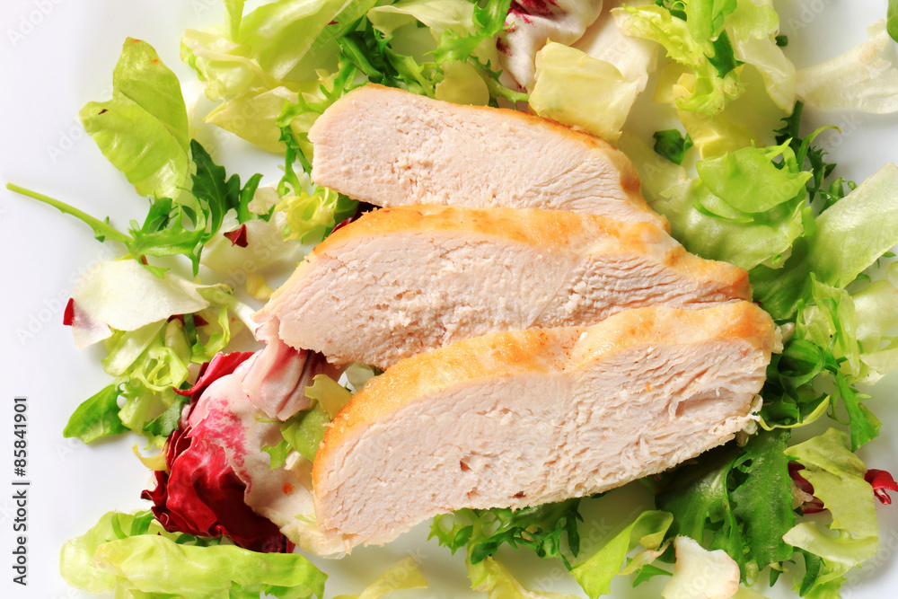 Chicken breast fillet