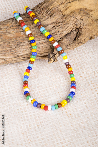 Colorful Necklace Made with Small Plastic Beads Displayed on a Dead Tree Branch