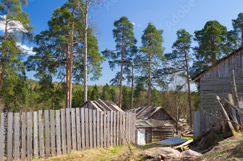 Rural buildings in the pine forest