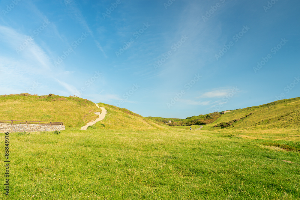 Obraz premium Landscape