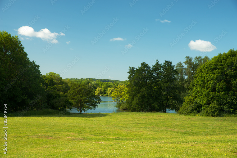 Fototapeta premium Landscape