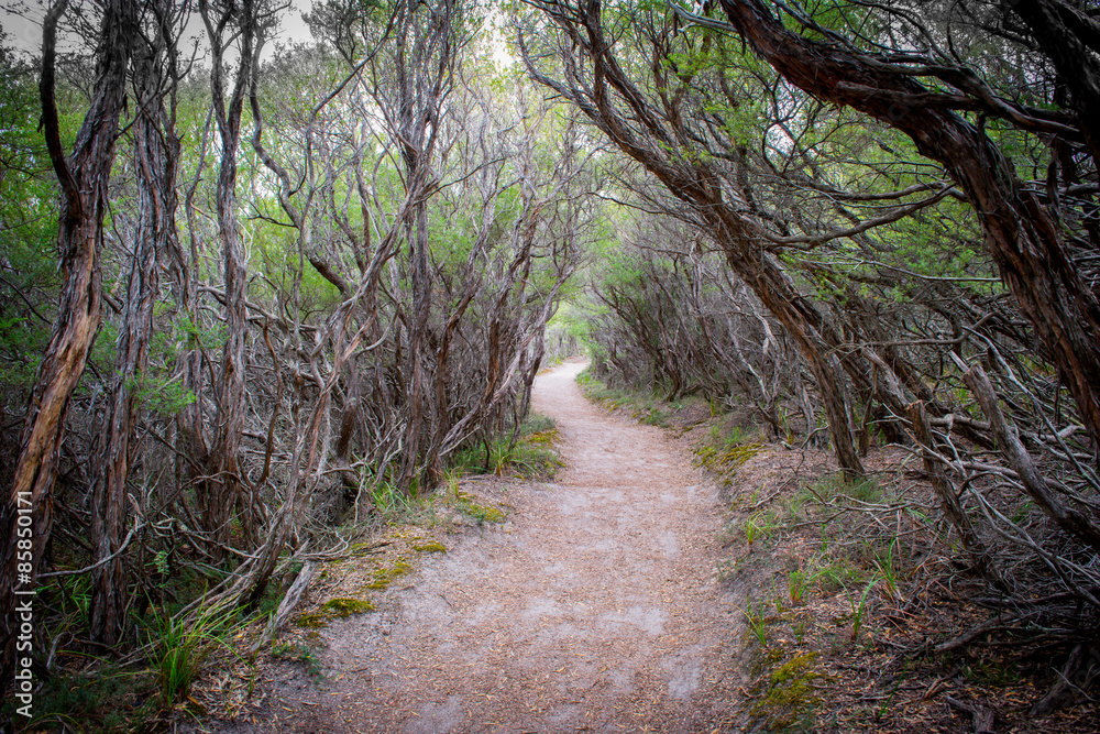 Péninsule de Wilson