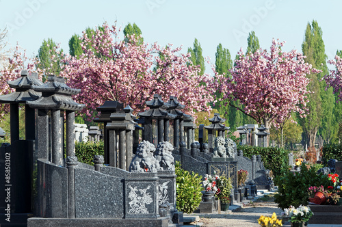 carré asiatique du cimetière de Thiais © hassan bensliman