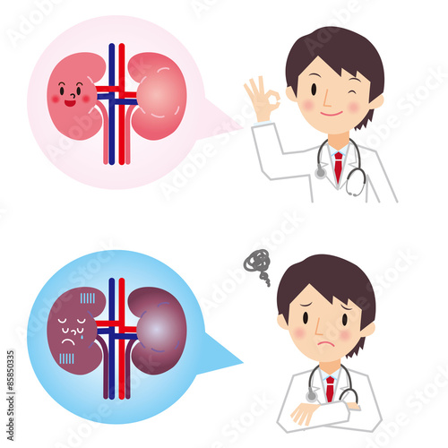 腎臓の説明をする医者