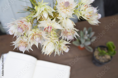 Fototapeta Naklejka Na Ścianę i Meble -  still life of blushing bride proten flowers with decoration