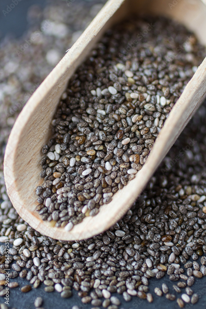 Organic Dry Chia Seeds - a rich source of omega-3 fatty acids. Organic Dry Chia Seeds - a rich source of omega-3 fatty acids.