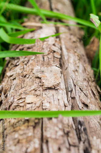 wooden with green grass background