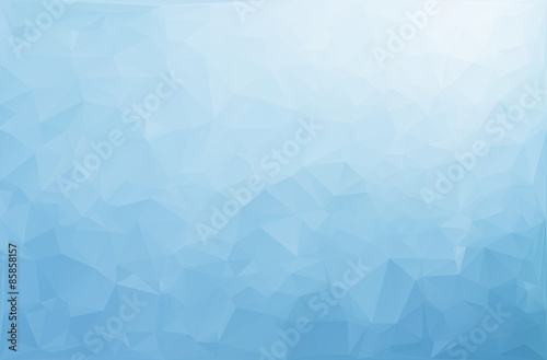 Blue White Polygonal Mosaic Background, Vector illustration,  Creative  Business Design Templates