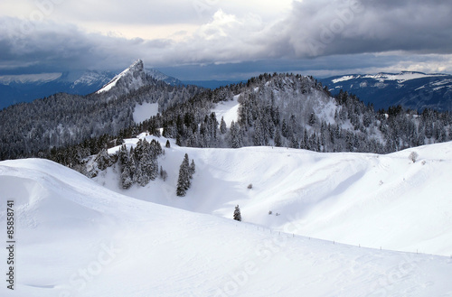 L ' hiver en Chartreuse , sur les pentes du Charmant Som