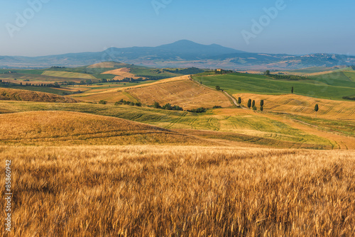 Beautiful spring and summer landscape with a golden Tuscany