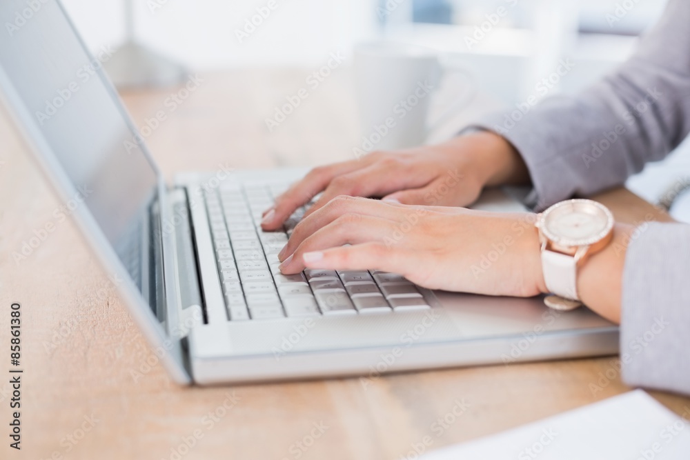 Businesswoman using her computer Businesswoman using her computer