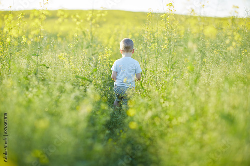 boy standing in rapeseed field