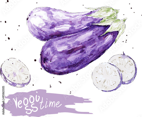Vector watercolor  sketches of  fresh eggplant with sliced.