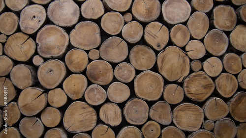 background of wood logs