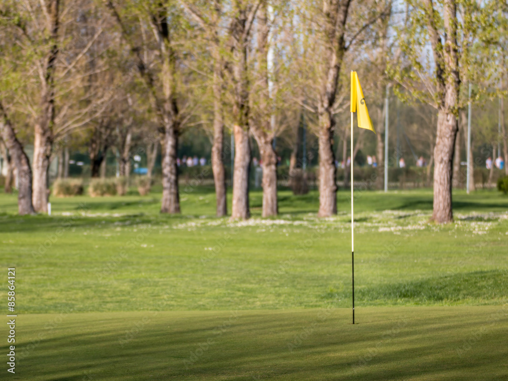 yellow flagstick in golf course in sunny day