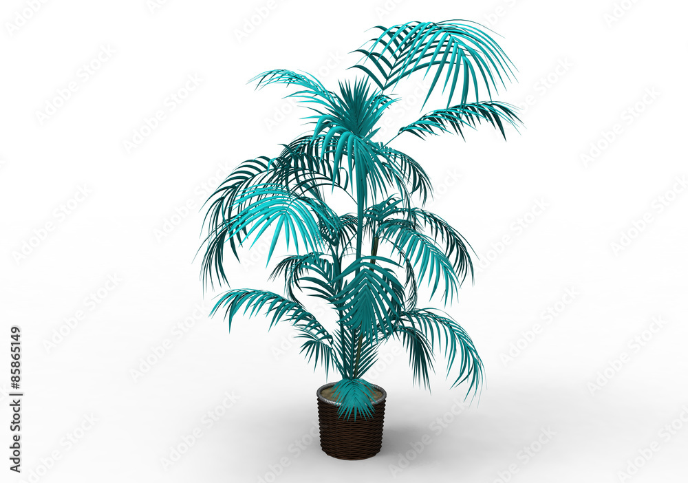 Obraz premium palm