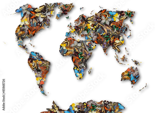 Map of the world of butterflies. You can easily remove the shadows - clipping path included.