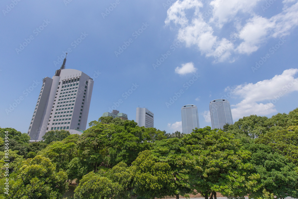 Obraz premium 幕張の新緑の公園から高層ビジネスビル街を臨む