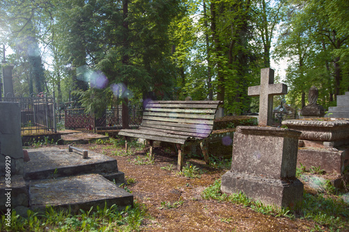 bench on an old cemetery