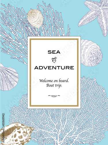 Hand Drawn Seashell. Vector Illustration of Underwater World.