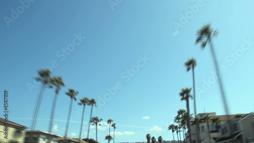 Driving in Los Angeles between palm tree tops - A short fast drive through a sunny street in Los Angeles, beautiful high palm trees on both sides of the road