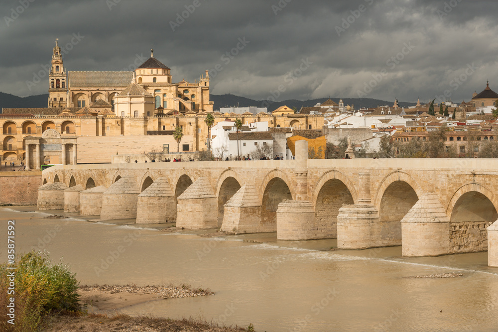 View of historic Cordoba, Mezquita, and  Roman bridge, Spain