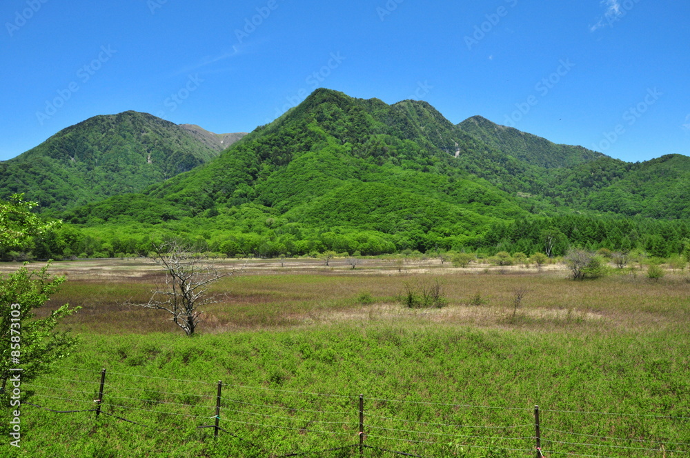 栃木県 奥日光 小田代ヶ原ハイキング 栃木県 奥日光 小田代ヶ原ハイキング