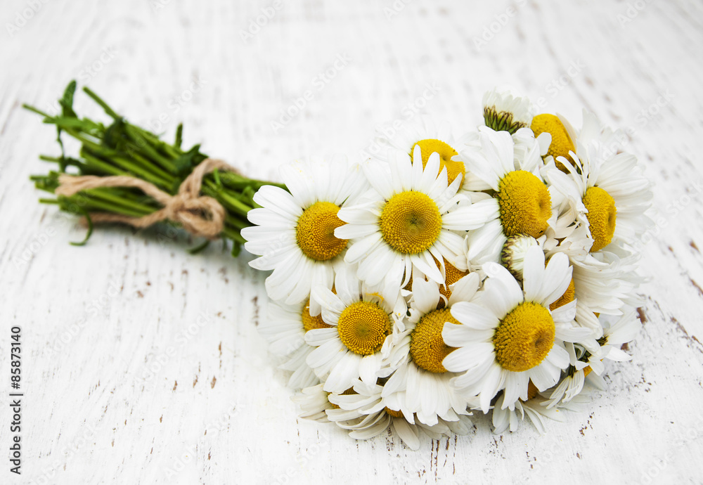 Obraz premium chamomile flowers on a wooden background