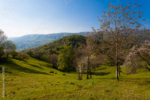 Hills panorama