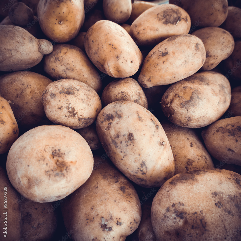 potatoes raw vegetables food. Fresh organic young potatoes potatoes raw vegetables food. Fresh organic young potatoes