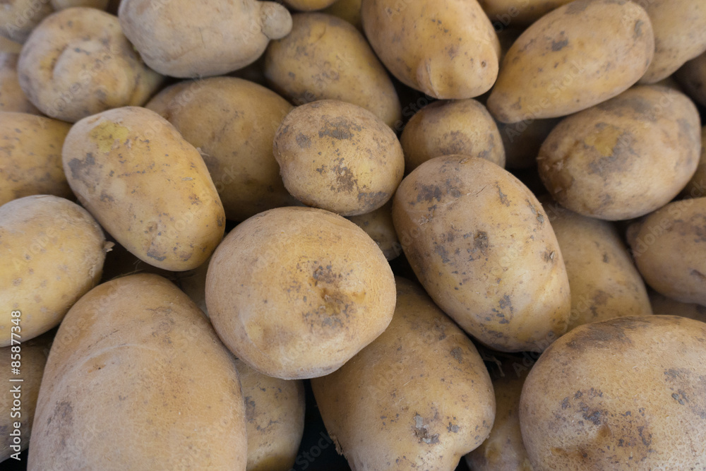 potatoes raw vegetables food. Fresh organic young potatoes potatoes raw vegetables food. Fresh organic young potatoes